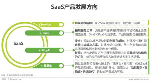 2021年中國企業(yè)級SaaS行業(yè)研究報(bào)告 工業(yè)互聯(lián)網(wǎng)數(shù)據(jù)服務(wù)的崛起與變革
